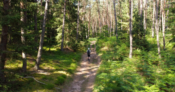 Halte Gourde : trouver facilement de l’eau potable dans les Vosges du Nord