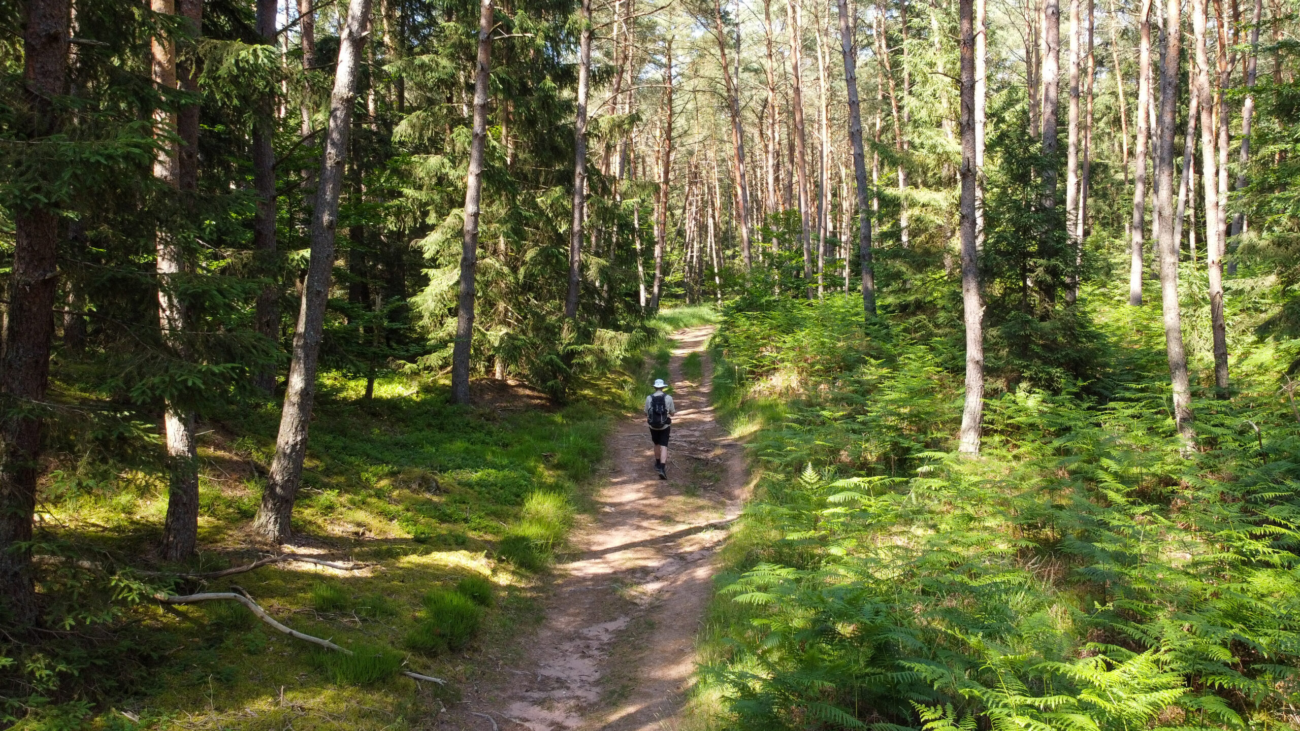 Halte Gourde : trouver facilement de l’eau potable dans les Vosges du Nord