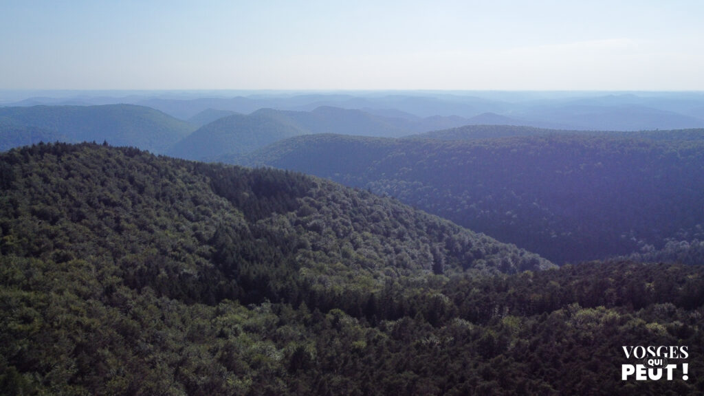 Vue aérienne sur les Vosges du Nord dans le massif des Vosges