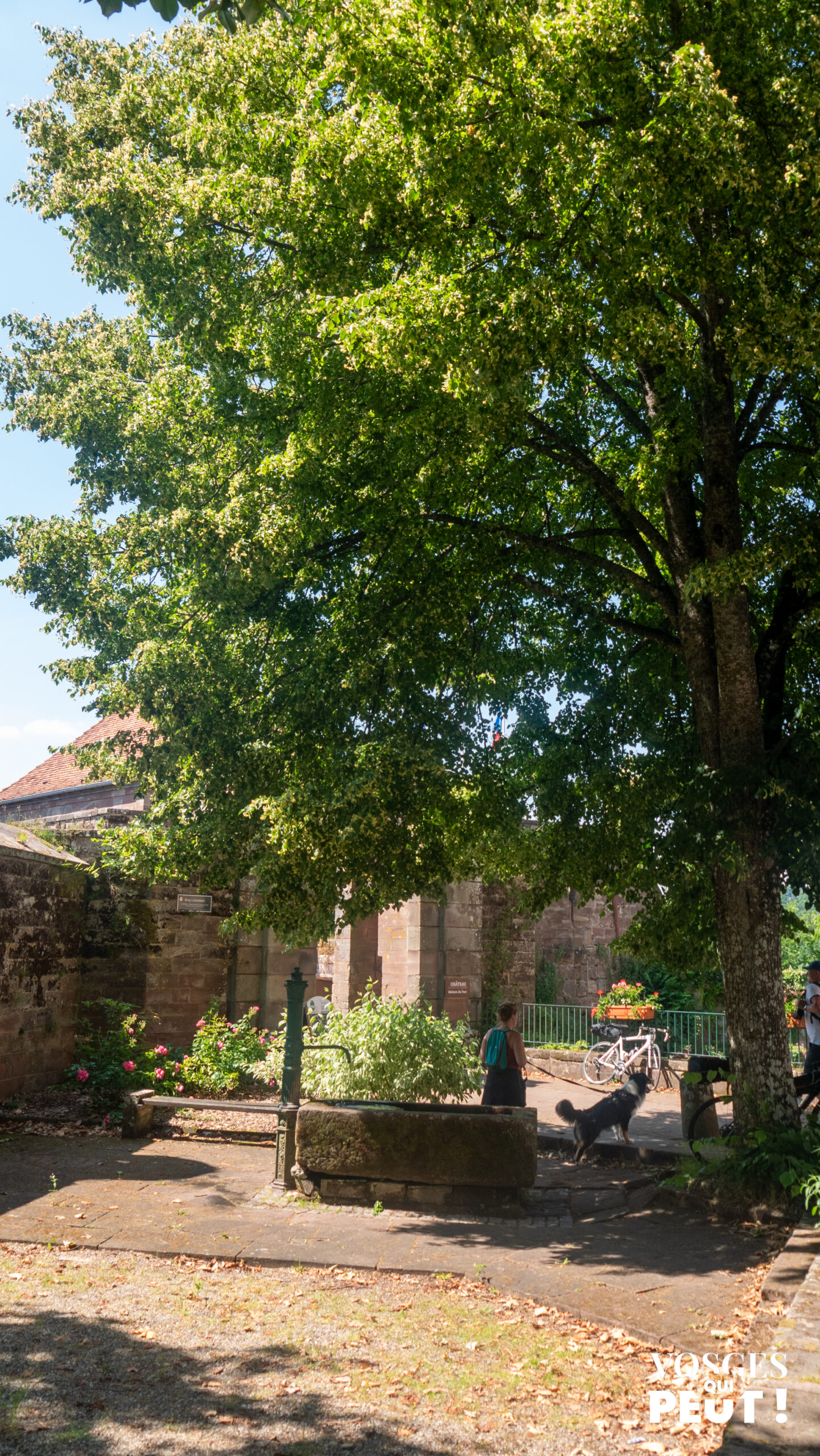 Fontaine du château à La Petite Pierre