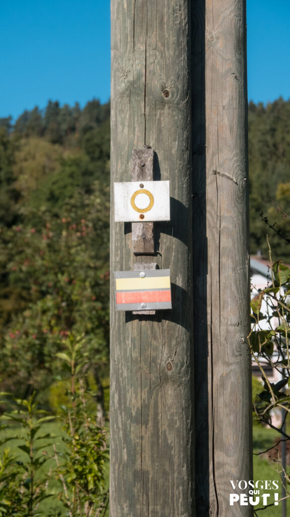 Balisage de randonnée dans le massif des Vosges