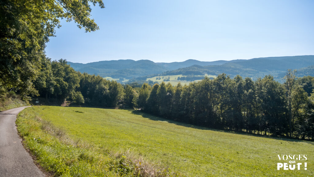 Vue sur La-Croix-aux-Mines dans le massif des Vosges