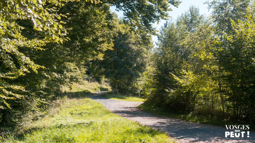 Col de la Séboue dans le massif des Vosges le long des Grandes Échappées Vosgiennes 