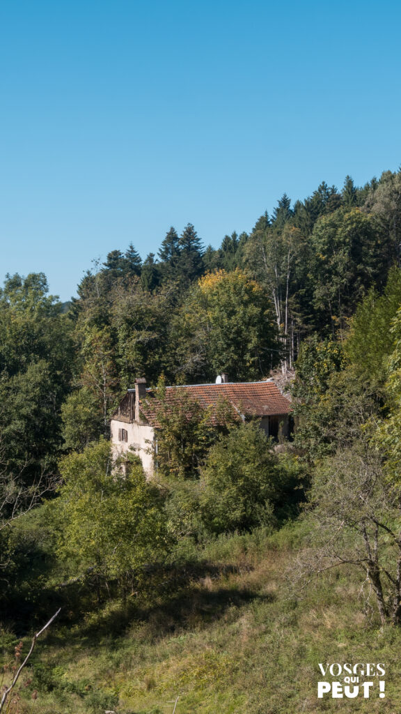 Ancienne ferme vosgienne sur les Grandes Échappées Vosgiennes dans le massif des Vosges