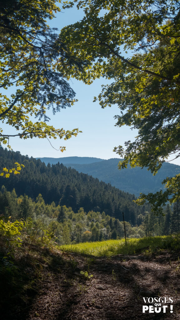 Paysages du massif des Vosges le long des Grandes Échappées Vosgiennes