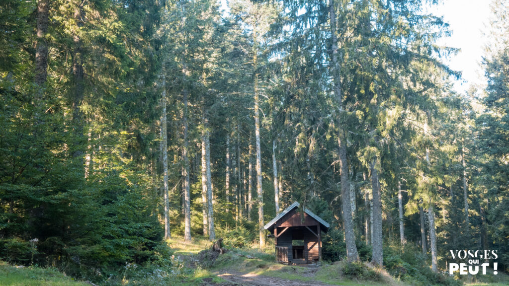 Abri pour randonneurs dans le massif des Vosges