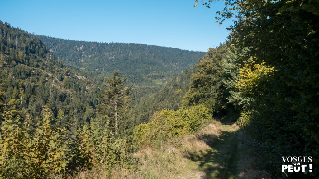 Vue sur le défilé de Straiture