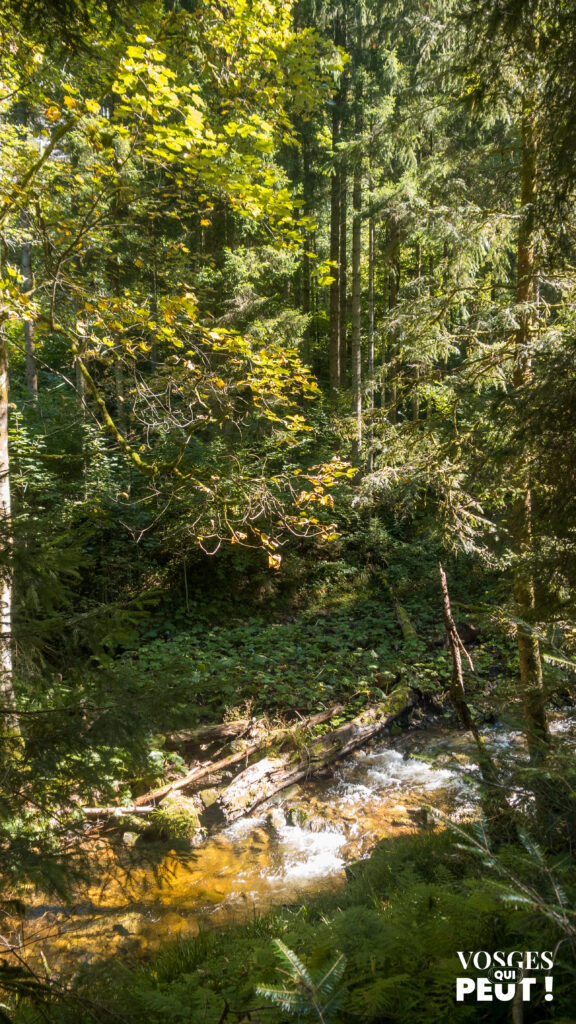 Dans le défilé de Straiture, massif des Vosges