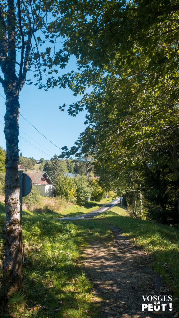 Arrivée au Grand Valtin dans le massif des Vosges