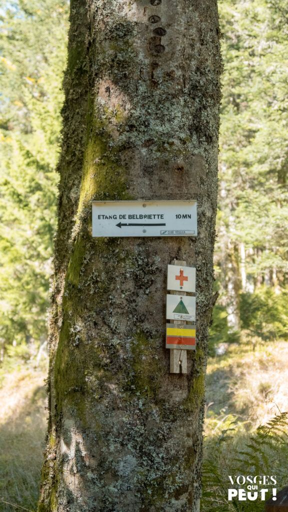 Panneau directionnel autour de la tourbière de Belbriette dans le massif des Vosges