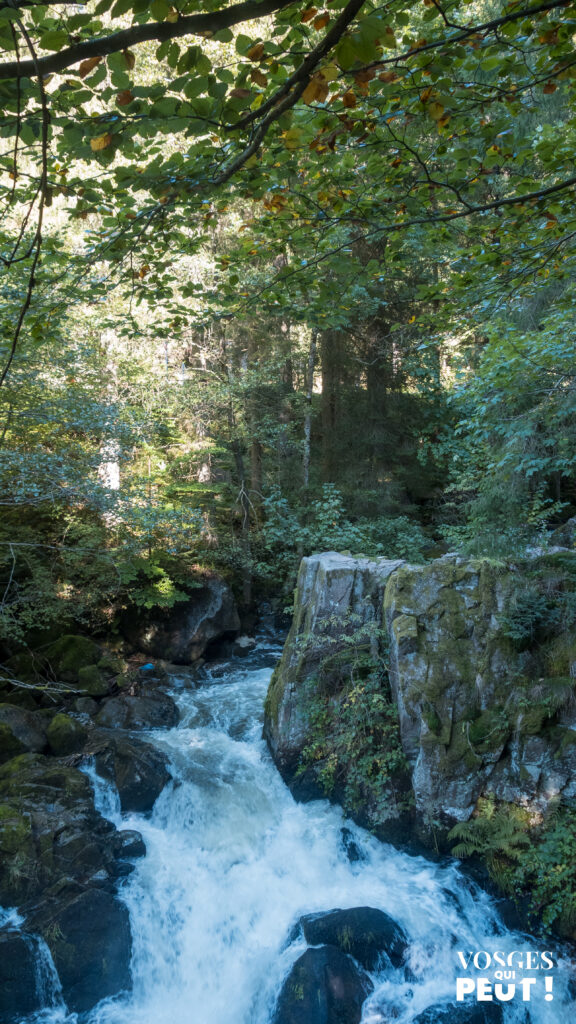 Le saut des Cuves dans le massif des Vosges
