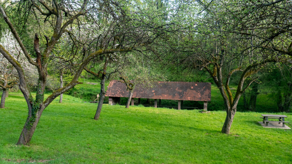 Le lavoir de Marmoutier dans le massif des Vosges