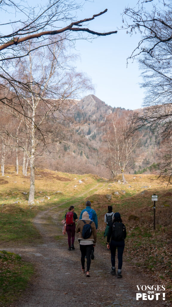 Randonneurs dans le massif des Vosges