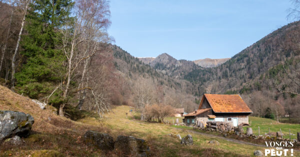 Rando dans les Vosges dans la vallée de Munster à travers la Wormsa