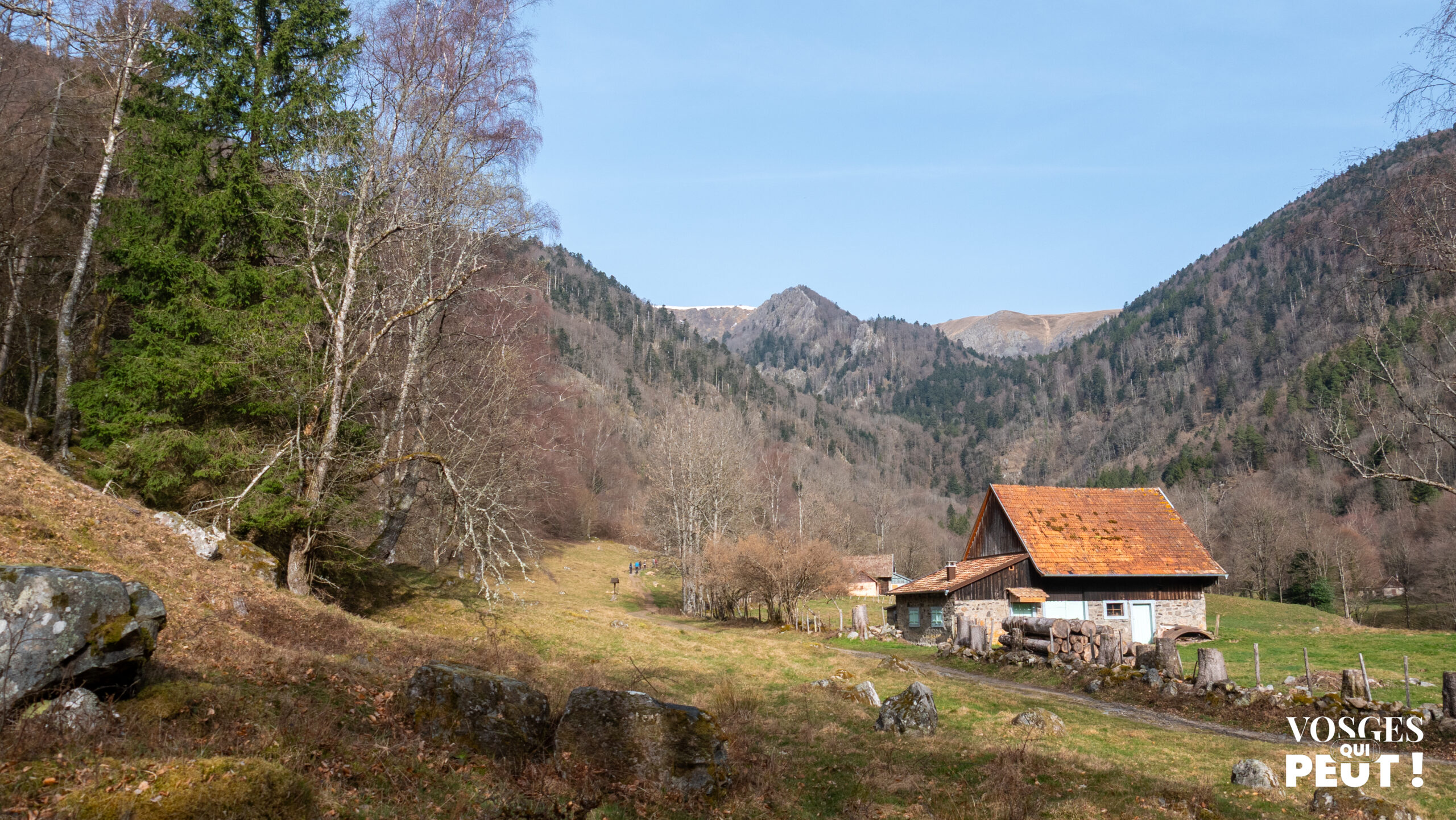 Rando dans les Vosges dans la vallée de Munster à travers la Wormsa