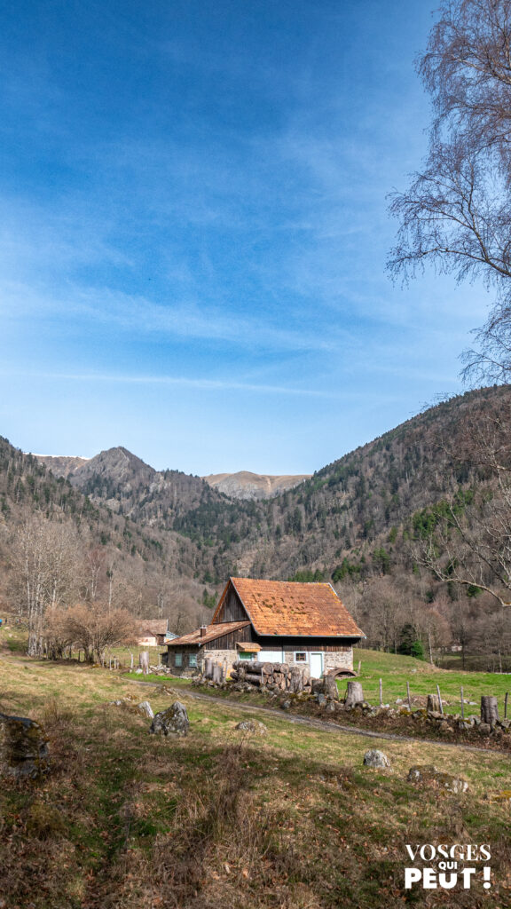 Ancienne ferme de la Wormsa dans le massif des Vosges
