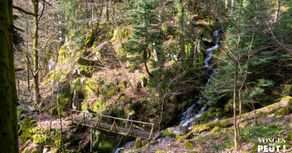 Randonner dans les Vosges : 15 questions fréquentes