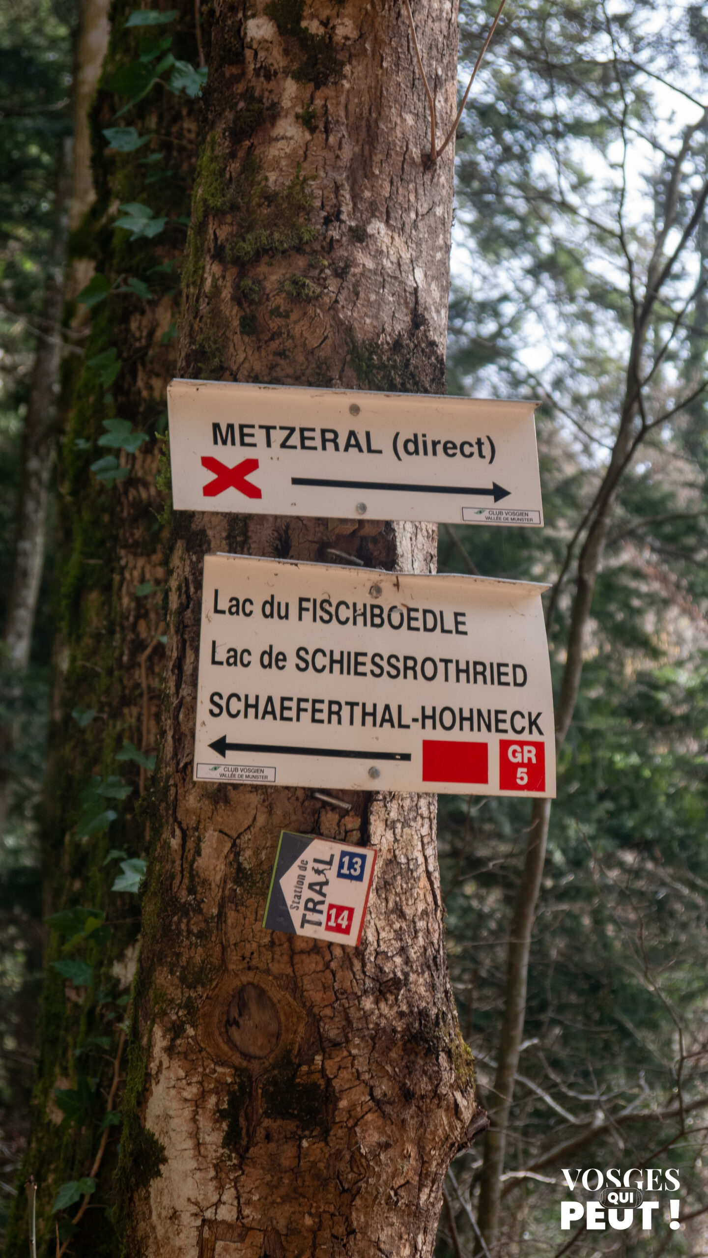Balisage de randonnée dans les Vosges