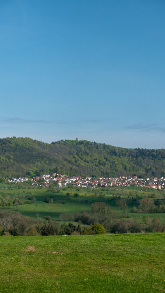 Le château du Haut-Barr depuis le lieu-dit La Champagne dans le massif des Vosges