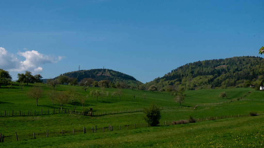 Paysage des Vosges centrales dans le massif des Vosges