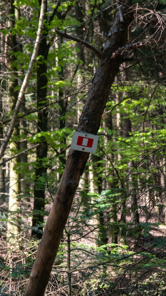 Balisage de sentier de randonnée dans le massif des Vosges