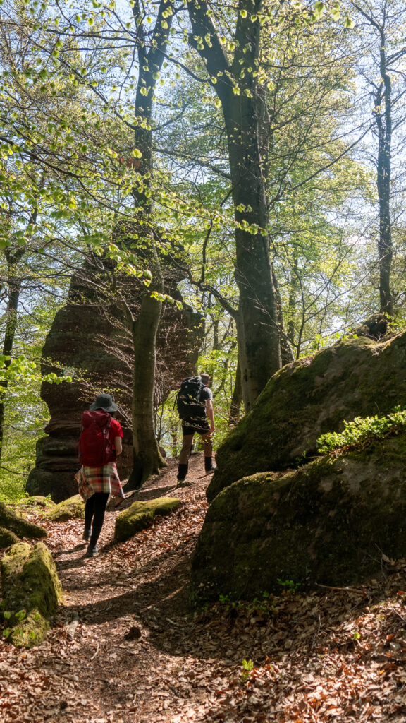 Randonneurs au Rocher du Hibou dans le massif des Vosges