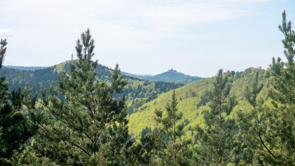 Le Rocher de Dabo vu depuis le Hirschberg dans le massif des Vosges