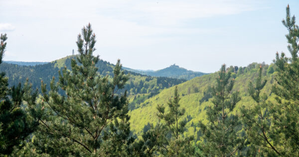 Randonnée dans les Vosges centrales au départ de Marmoutier