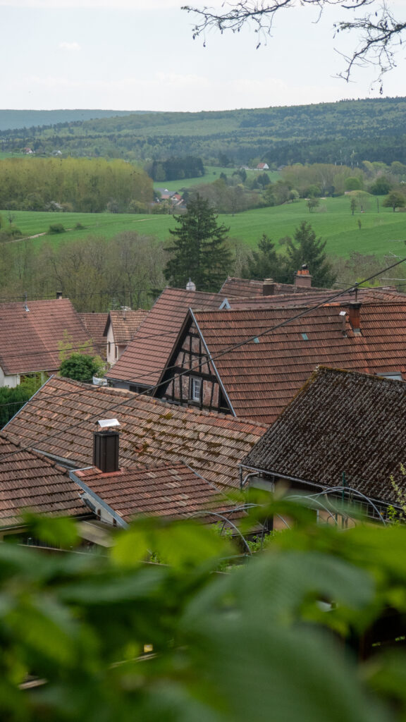 Vue sur les toits du village de Reinhardmunster dans le massif des Vosges