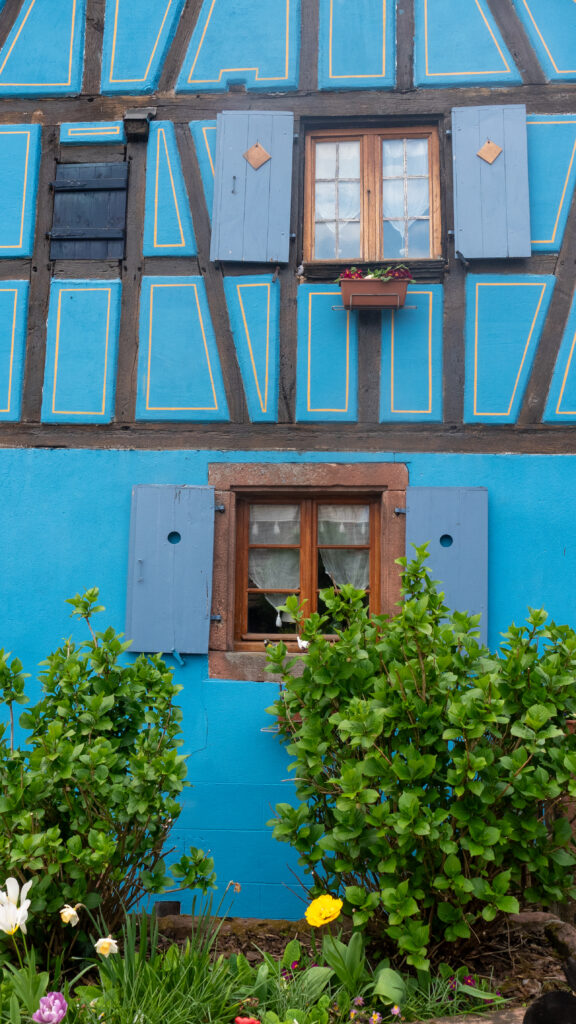 Maison alsacienne à colombages dans le village de Reinhardmunster dans le massif des Vosges