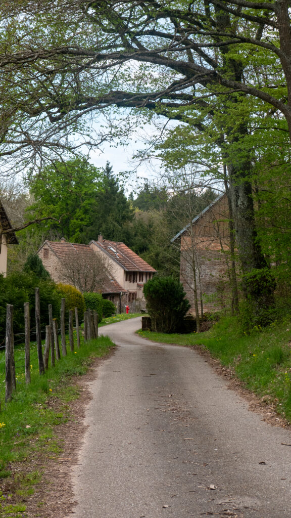 Hameau du Bruchberg dans le massif des Vosges