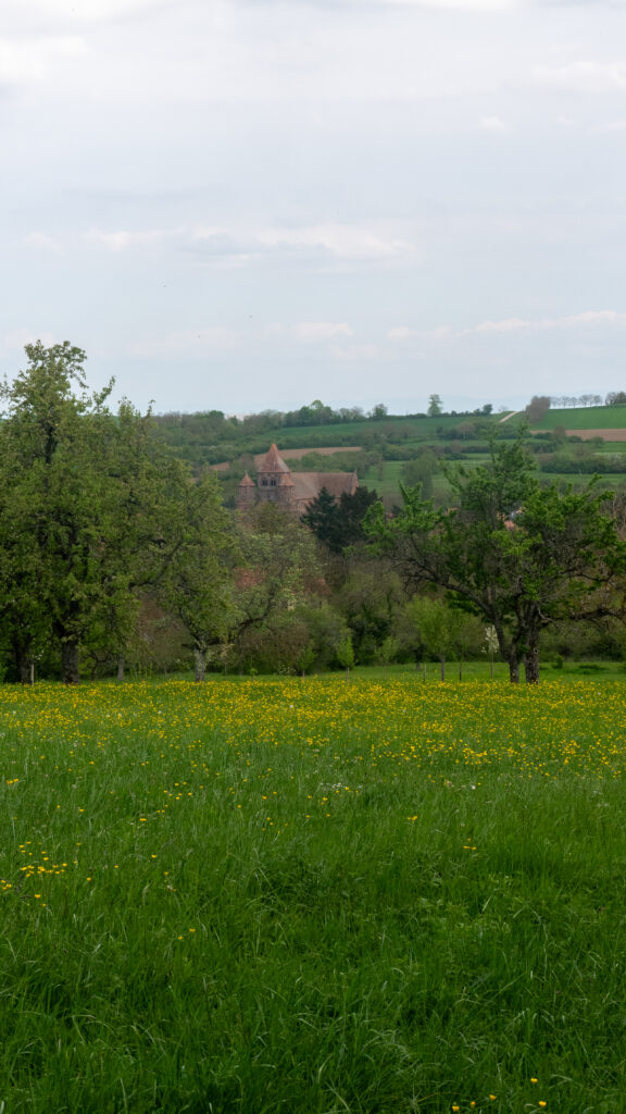 Vue sur l'abbaye de Marmoutier dans le massif des Vosges en Alsace