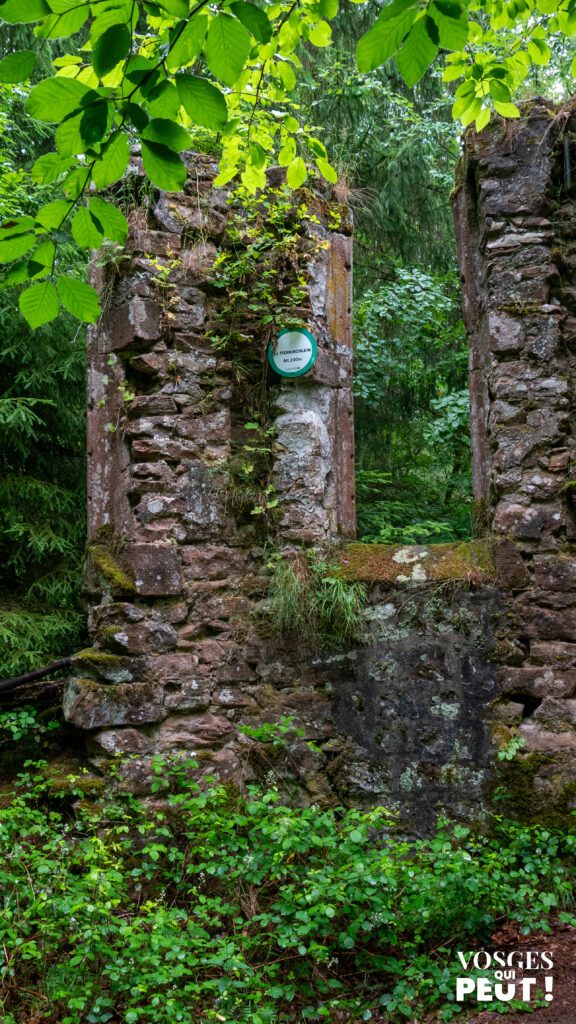 Ruines du Tierkirchlein dans les Vosges du Nord