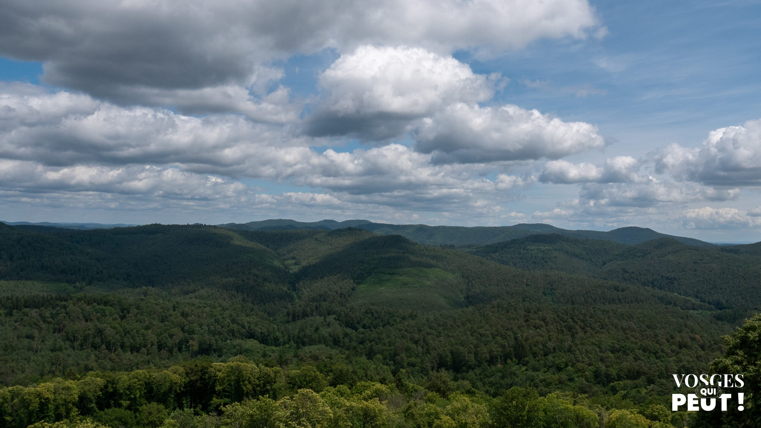 Vue depuis le donjon du château de Lichtenberg sur les Vosges du Nord