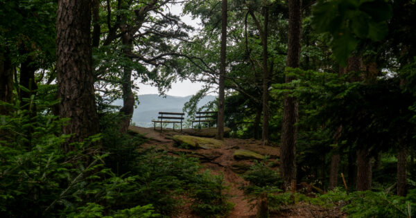 Rando à Hanau – La Petite-Pierre : l&rsquo;Englishberg