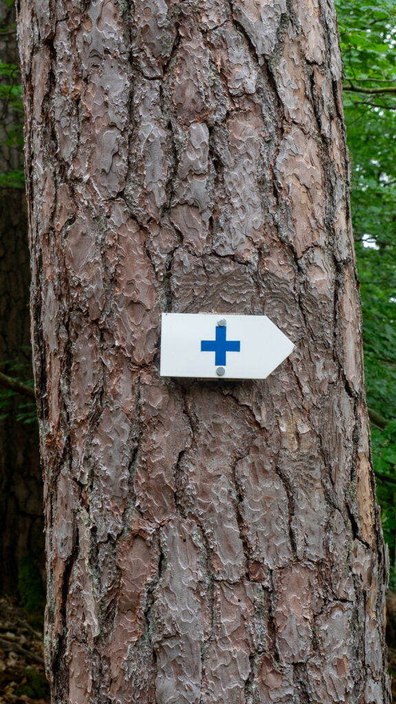 Balisage de randonnée dans les Vosges du Nord