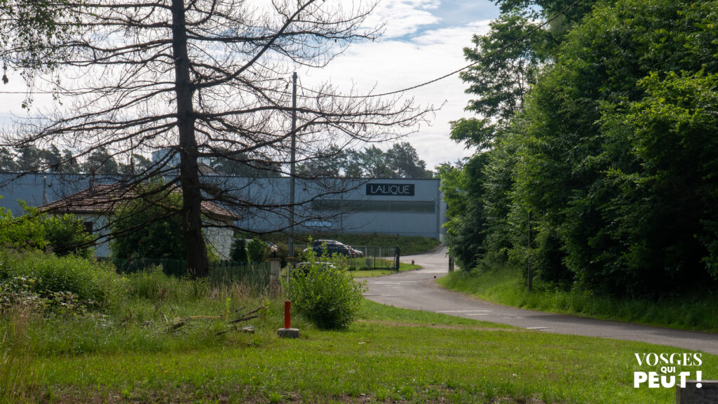 Chemin longeant la manufacture Lalique Wingen-sur-Moder lors de la rando dans les Vosges du Nord