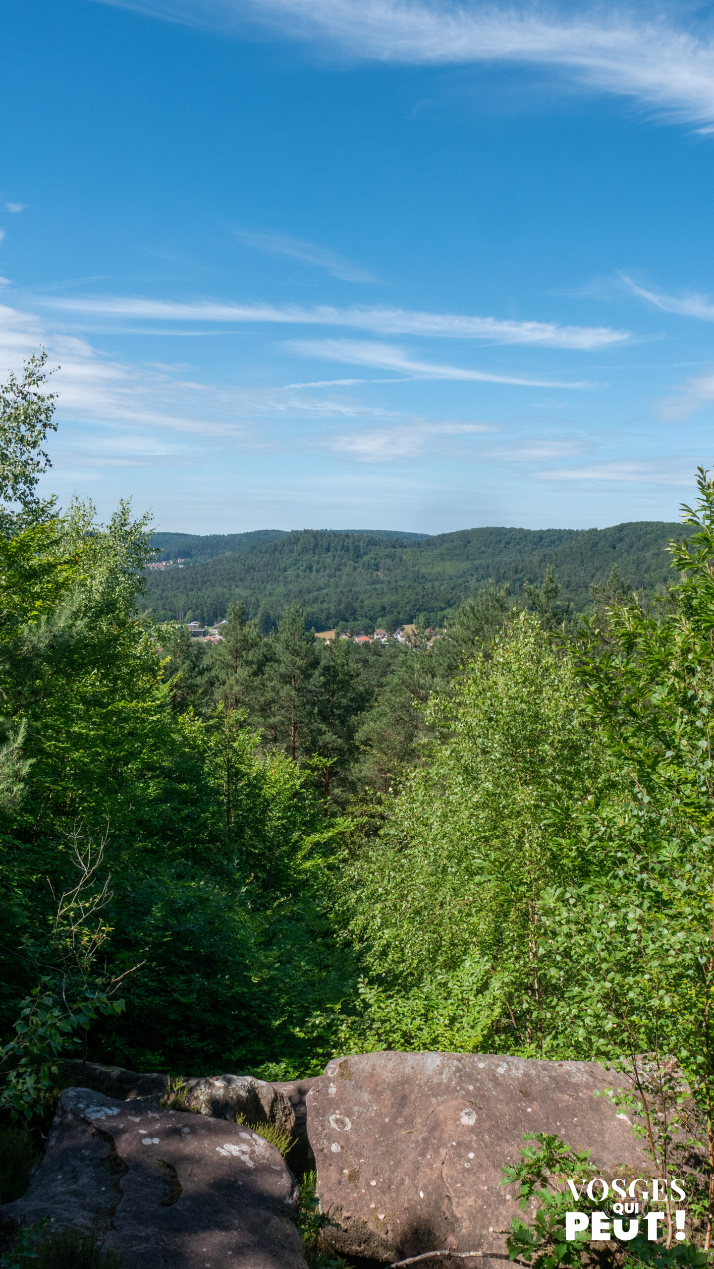 Vue depuis le Heidenkopf dans les Vosges du Nord