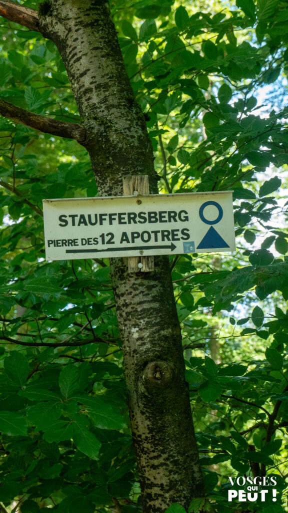Panneau de randonnée indiquant la direction de La Petite-Pierre dans les Vosges du Nord, pays de Hanau.