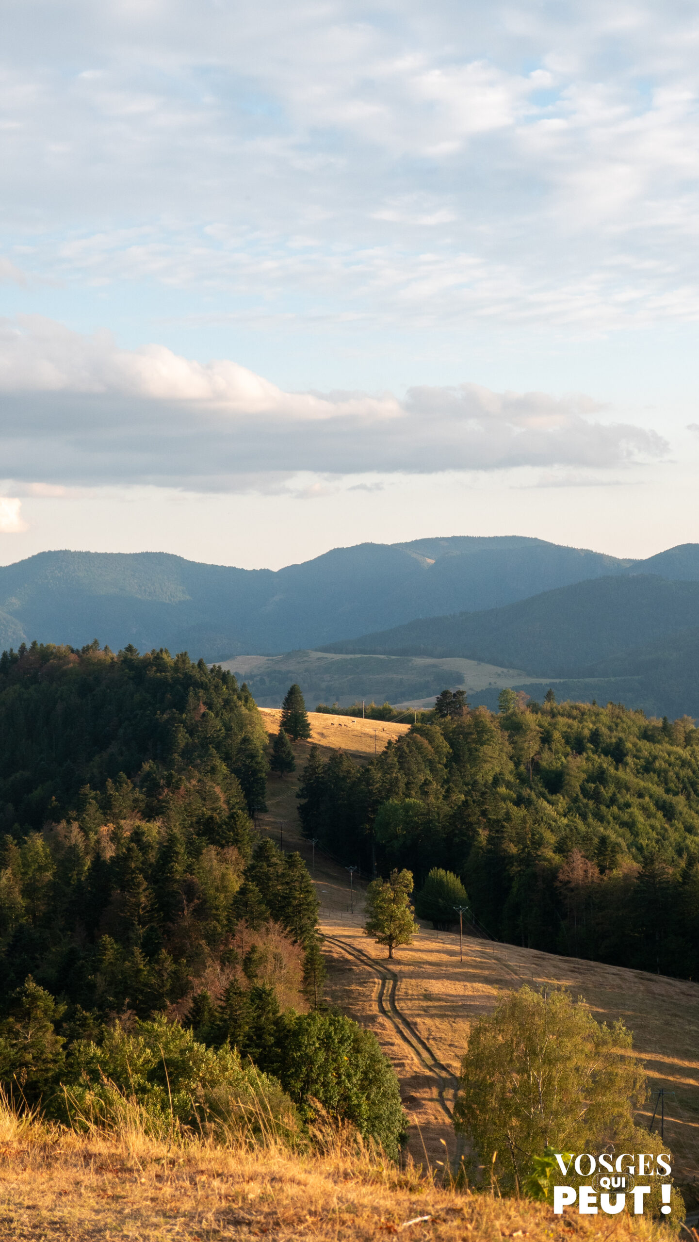 Coucher de soleil dans le massif des Vosges