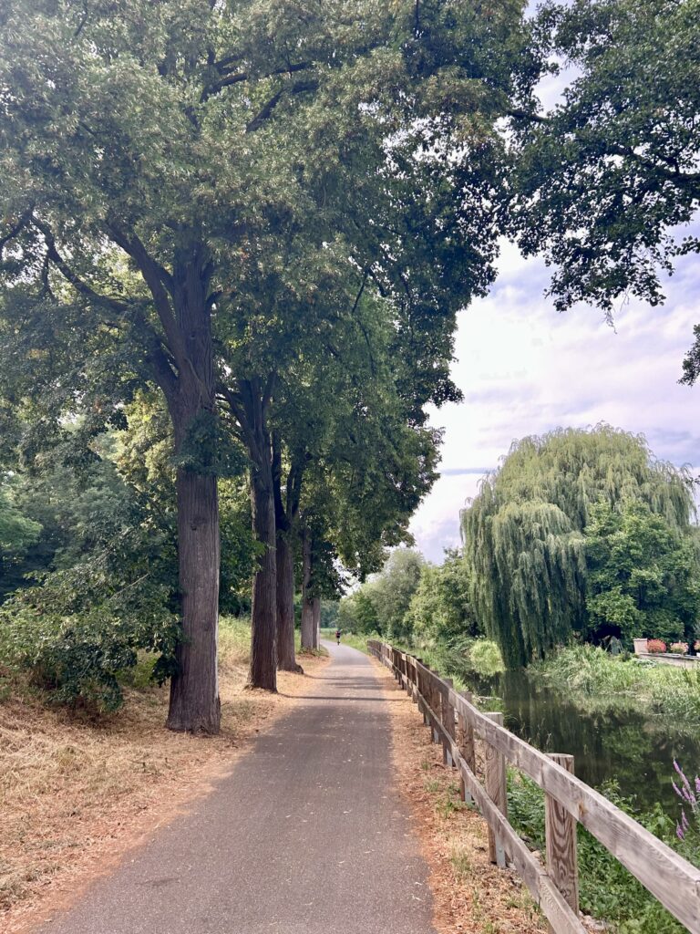 Balade poussette Strasbourg : chemin bitumé longeant le canal de la Bruche, entre alignement d'arbres et barrière en bois
