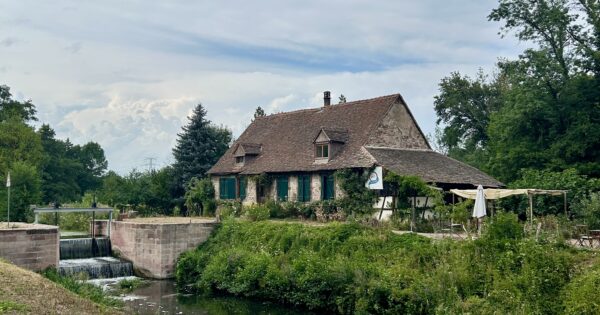 Trois idées de balades nature en poussette autour de Strasbourg