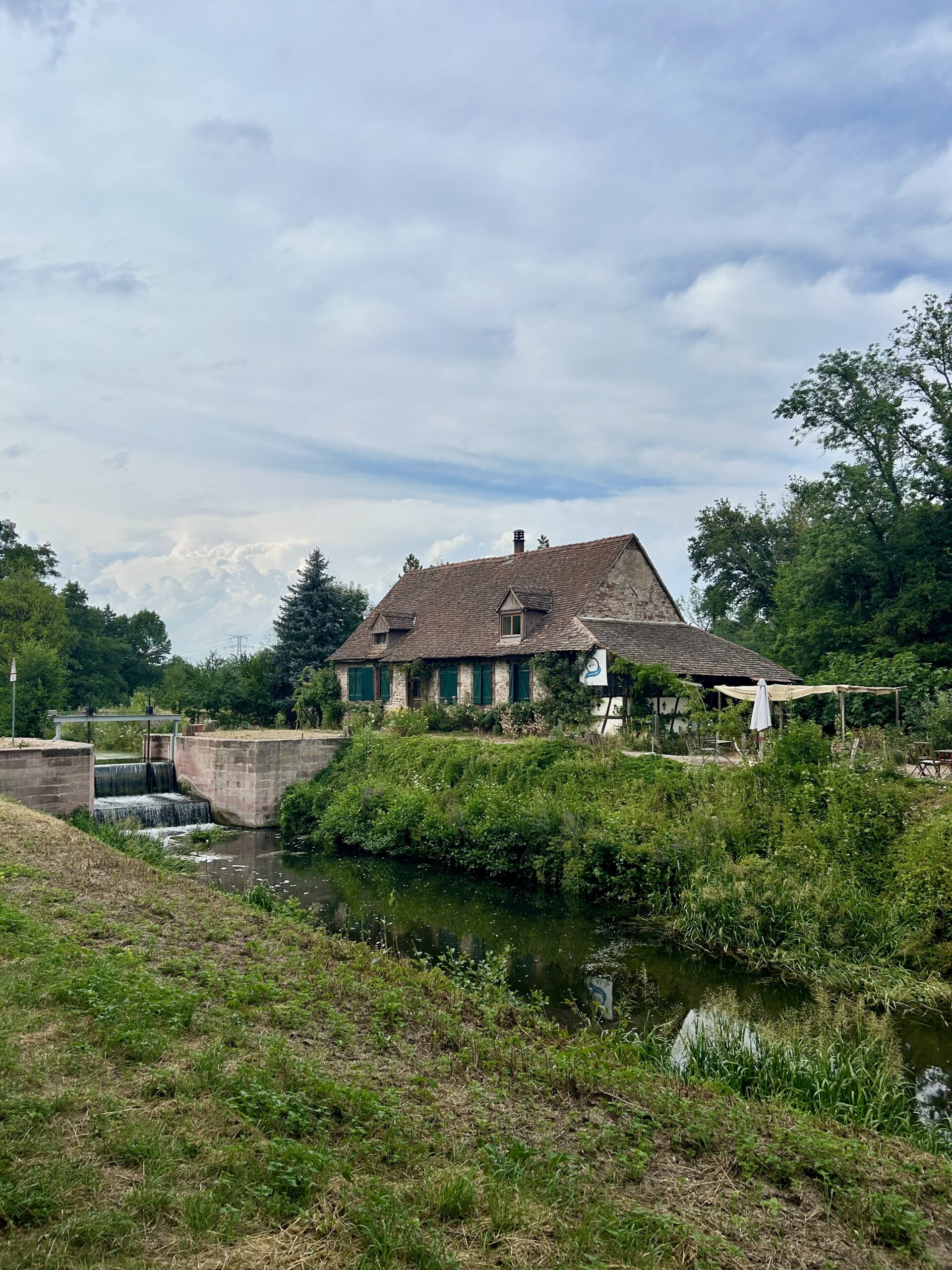 Trois idées de balades nature en poussette autour de Strasbourg
