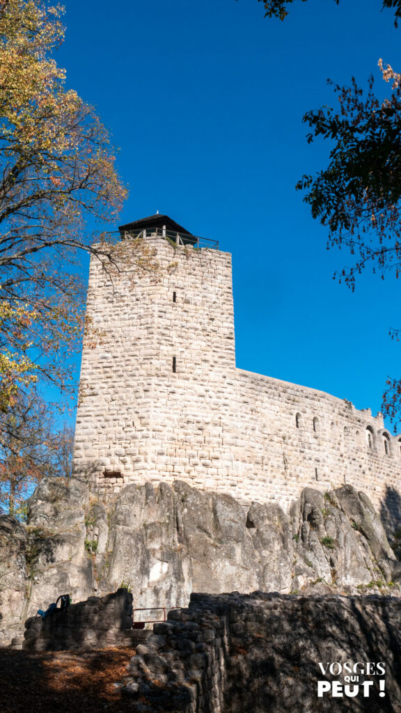 Le donjon du château du Bernstein sur son rocher, au-dessus de Dambach-la-Ville