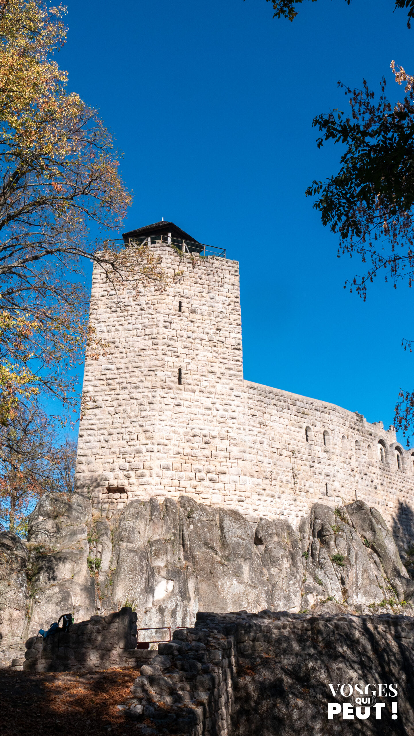 Le donjon du château du Bernstein sur son rocher, au-dessus de Dambach-la-Ville