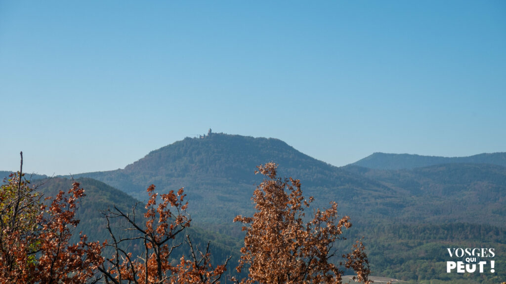 Le château du Haut-Kœnigsbourg sur sa montagne, vu depuis les hauteurs de Scherwiller