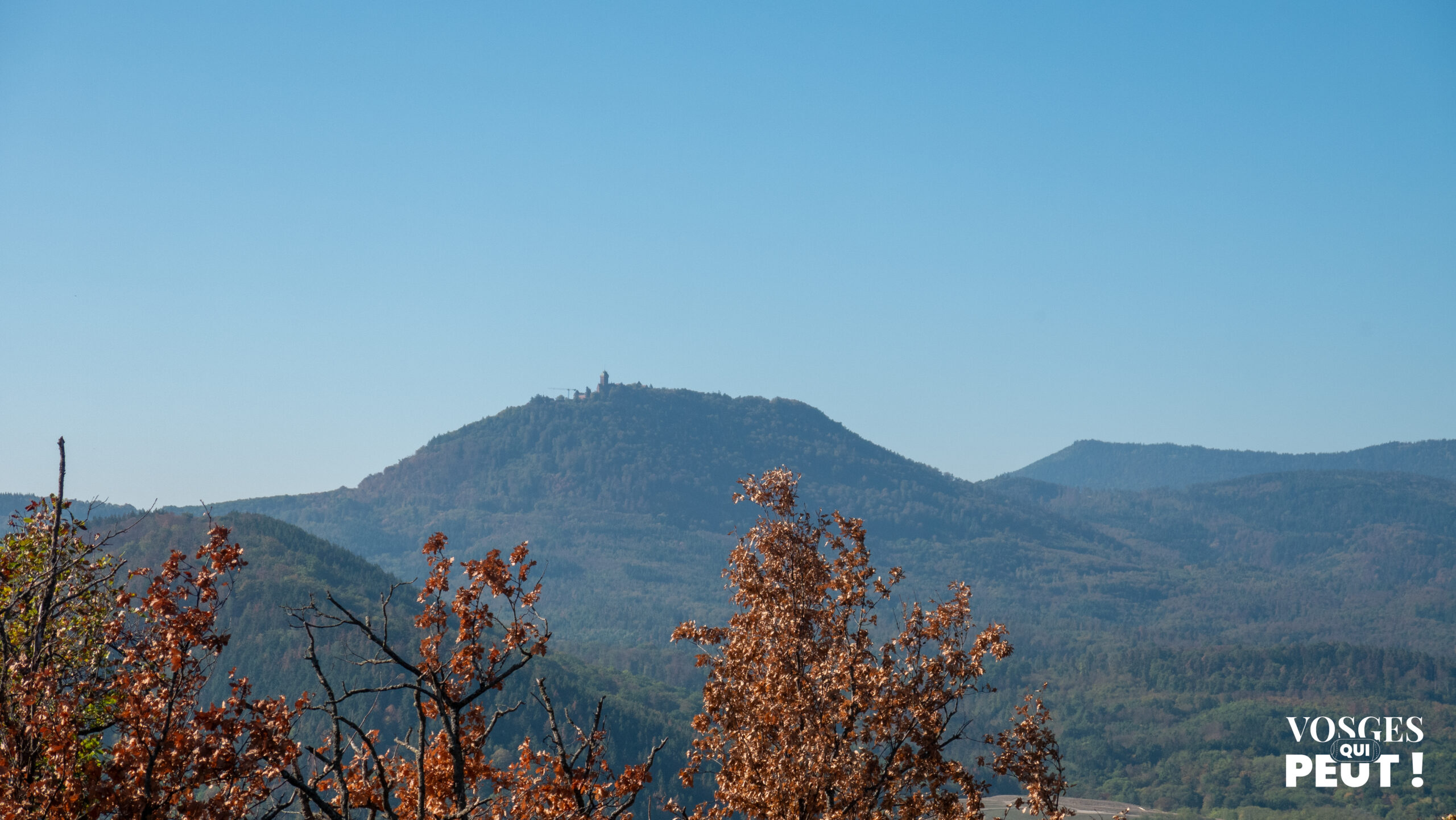 Le château du Haut-Kœnigsbourg sur sa montagne, vu depuis les hauteurs de Scherwiller