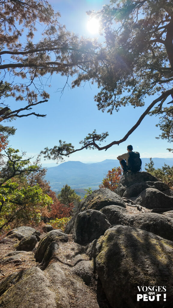 Randonneur assis sur un rocher face aux montagnes vosgiennes, sur la rando des châteaux de Scherwiller