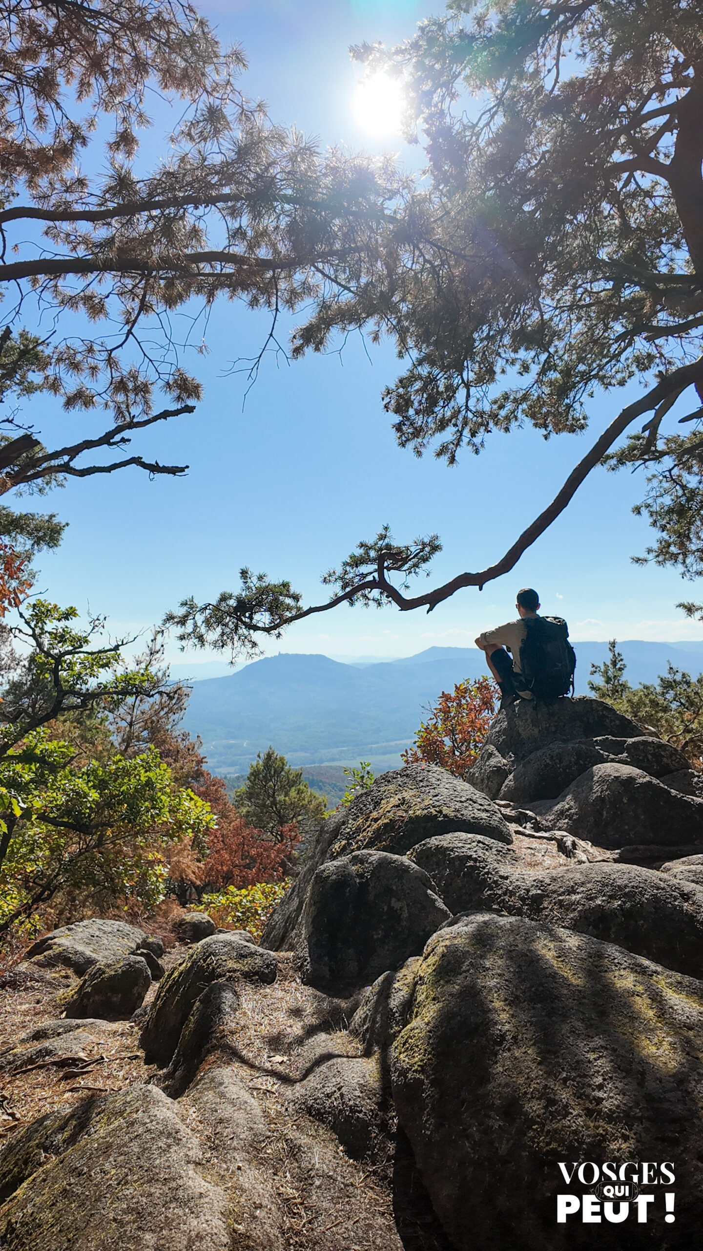 Randonneur assis sur un rocher face aux montagnes vosgiennes, sur la rando des châteaux de Scherwiller