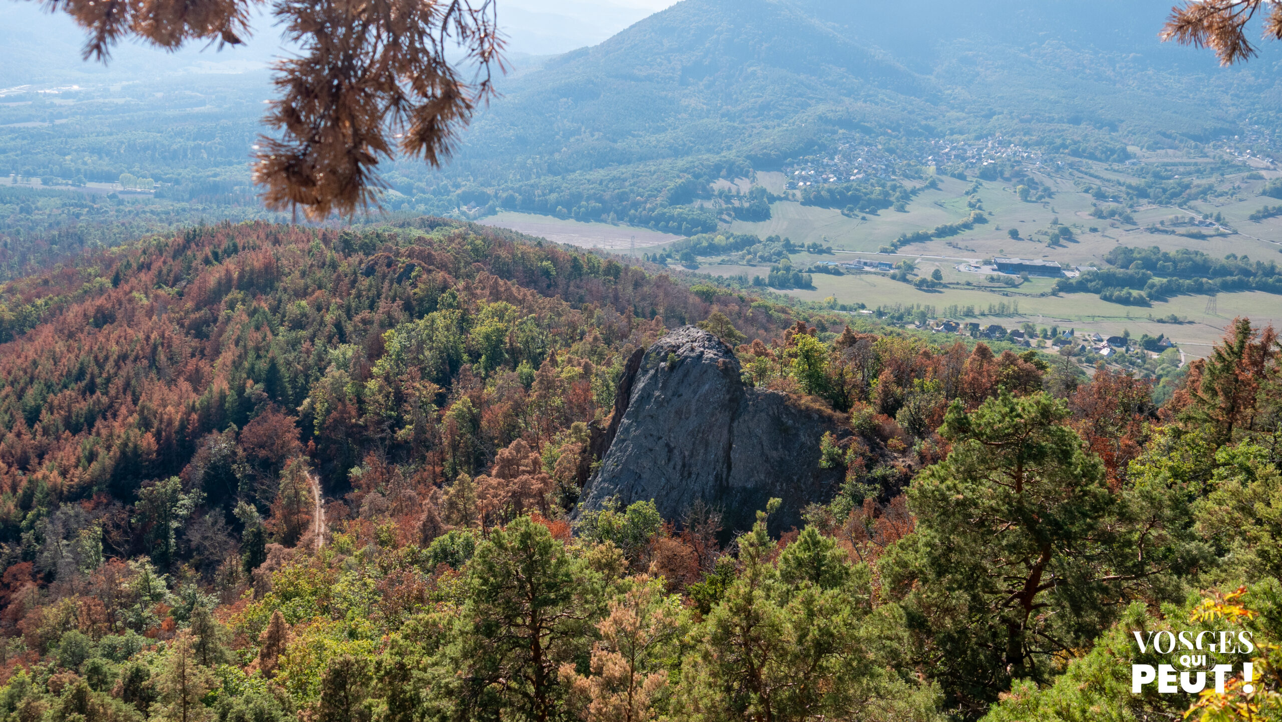 Le rocher du Falkenstein vu depuis le belvédère du Hagelstein, avec la vallée en contrebas